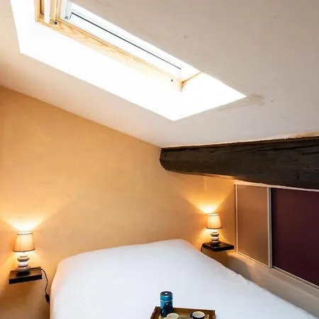 Apartment La Loge De Fourviere - 55m2 Vieux Lyon