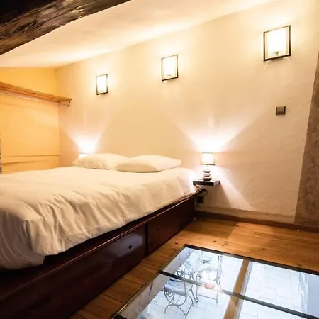 La Loge De Fourviere - 55m2 Vieux Apartment