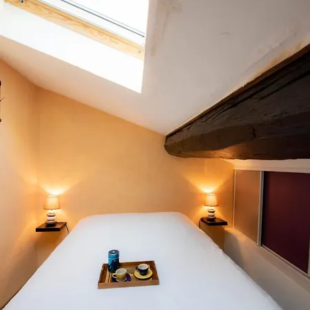 Апартаменты La Loge De Fourviere - 55m2 Vieux Лион